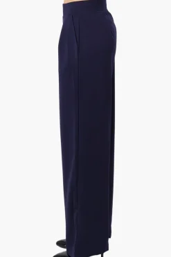 Costa Blanca Pleated Wide Leg Pants - Navy